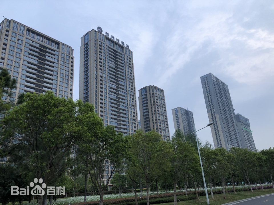 小蝌蚪视频色版电缆助力苏州湾景苑项目建设