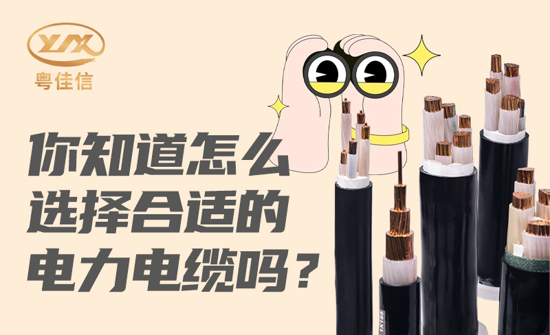 你知道怎么选择合适的小蝌蚪视频免费吗？